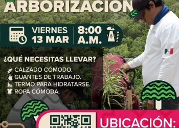 Impulsa Gobierno de Estefanía Mercado jornadas de arborización en Playa del Carmen