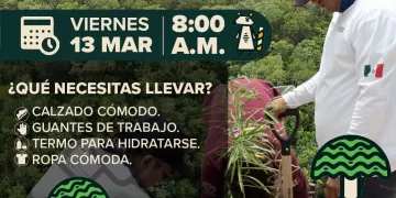 Impulsa Gobierno de Estefanía Mercado jornadas de arborización en Playa del Carmen