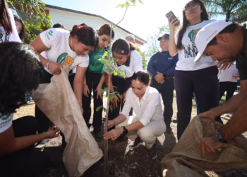 Con cada árbol que sembramos, plantamos un mejor futuro para Cancún: Ana Paty Peralta