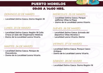Puerto Morelos se suma a la Semana Nacional de Vacunación Antirrábica Canina y Felina 2026