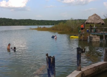 Granja porcícola fronteriza supone riesgo para la laguna Chichankanab