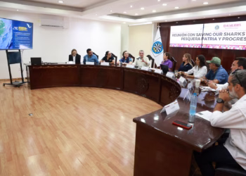 Atenea impulsa acciones para la conservación del tiburón y el desarrollo sostenible en Isla Mujeres