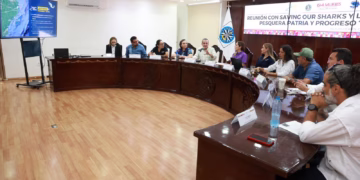 Atenea impulsa acciones para la conservación del tiburón y el desarrollo sostenible en Isla Mujeres