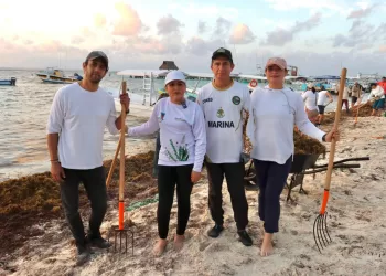 Arranca Blanca Merari jornada permanente de limpieza de playas ante arribo de sargazo