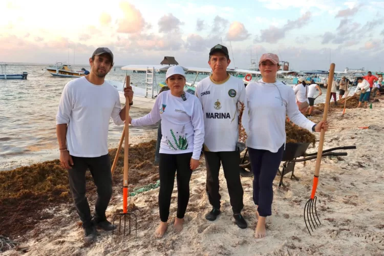 Arranca Blanca Merari jornada permanente de limpieza de playas ante arribo de sargazo