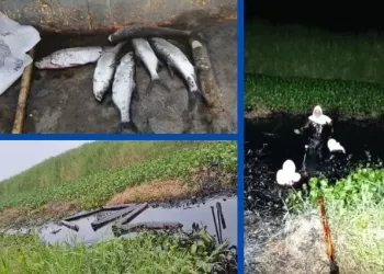 Lleva 15 días derrame de petróleo en Veracruz: manchó 4 km de río, señalan