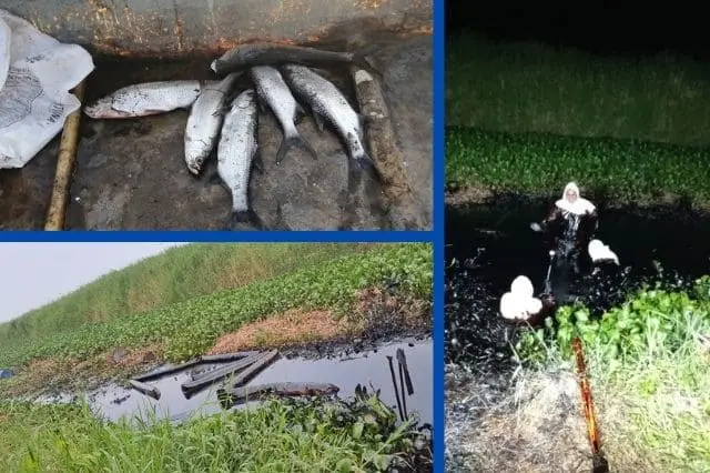 Lleva 15 días derrame de petróleo en Veracruz: manchó 4 km de río, señalan