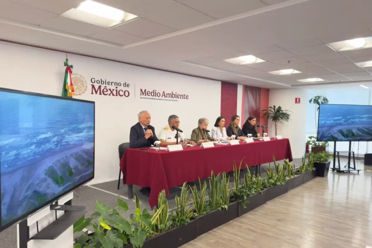Derrame de hidrocarburo en Veracruz, de un buque no identificado y dos “emanaciones naturales”: Semar