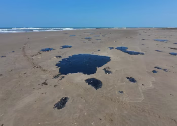 Sheinbaum ordena investigación multidisciplinaria por derrame; aún no hay responsables