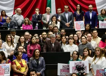 Habrá costo político para Verde y PT por no apoyar la reforma electoral: Morena