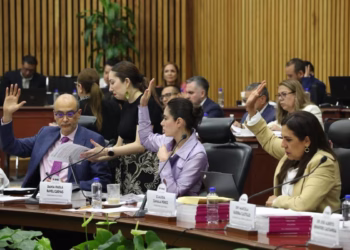 Recorte a salarios de funcionarios del INE podría ser inconstitucional: consejera Humphrey