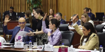 Recorte a salarios de funcionarios del INE podría ser inconstitucional: consejera Humphrey