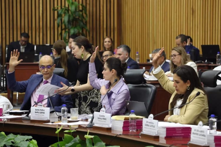 Recorte a salarios de funcionarios del INE podría ser inconstitucional: consejera Humphrey