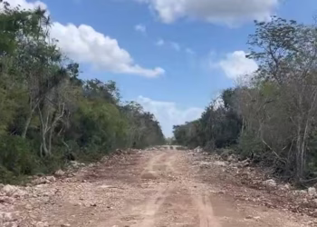 Denuncian avance de ‘ilegal’ libramiento en Tulum, pese a clausura