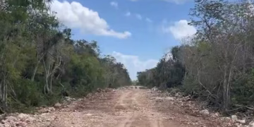 Denuncian avance de ‘ilegal’ libramiento en Tulum, pese a clausura