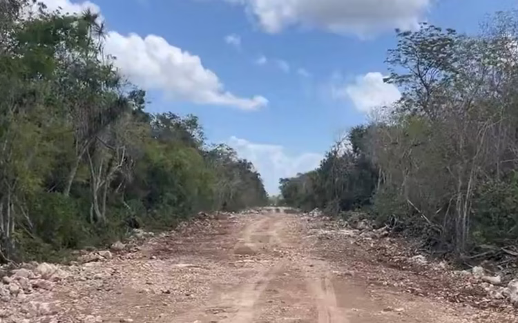 Denuncian avance de ‘ilegal’ libramiento en Tulum, pese a clausura