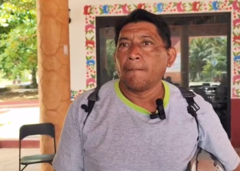 ¿Quién necesita a la CFE? Habitantes de Zona Maya se organizan para despejar líneas