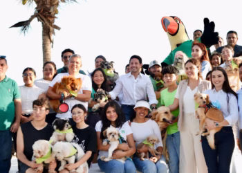 Aprueba Congreso iniciativa de Renán Sánchez para fortalecer clínicas veterinarias públicas en Quintana Roo