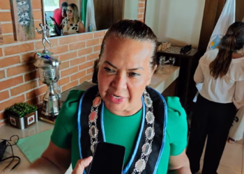 Esfuerzos contra el sargazo no son suficientes, señala empresaria de Puerto Morelos