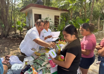 Lleva Bienestar brigada de “Acercamiento ciudadano” a la subdelegación de Central Vallarta