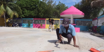 Registra 70 por ciento de avance la Construcción del parque y domo de la colonia Electricistas