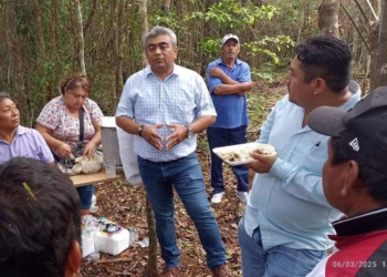 Resolución de SCJN sobre límites de Quintana Roo es de importancia histórica: Juan Novelo