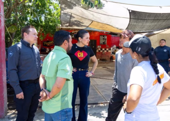 Encabeza Estefanía Mercado operativo de rescate canino en Playa del Carmen