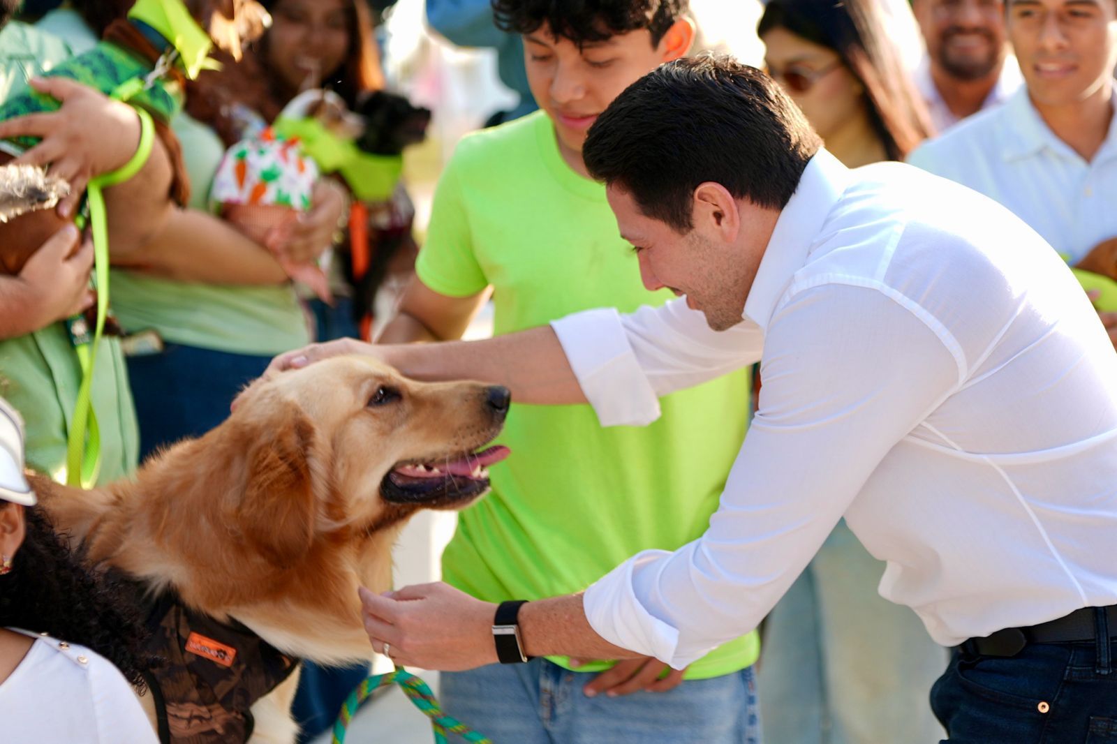 Endurecen sanciones por maltrato post mortem a animales; impulsan regulación de crematorios en Quintana Roo