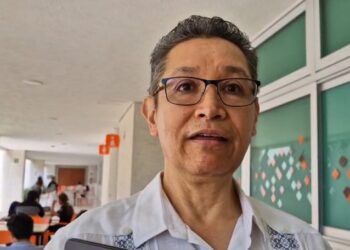 Crucial, crear mercado para aprovechar el sargazo