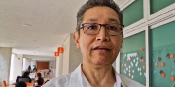 Crucial, crear mercado para aprovechar el sargazo