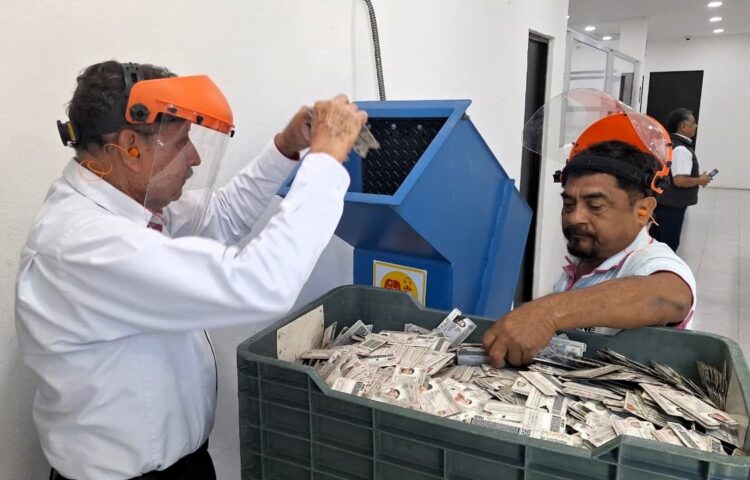 INE Quintana Roo destruye más de 43 mil credenciales para votar del primer trimestre de 2026