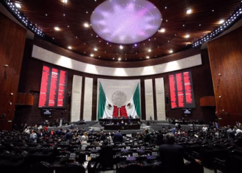 Aspirantes al INE con altas calificaciones responden a polémicas en entrevistas