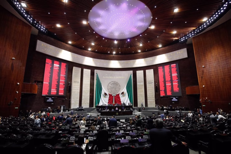 Aspirantes al INE con altas calificaciones responden a polémicas en entrevistas