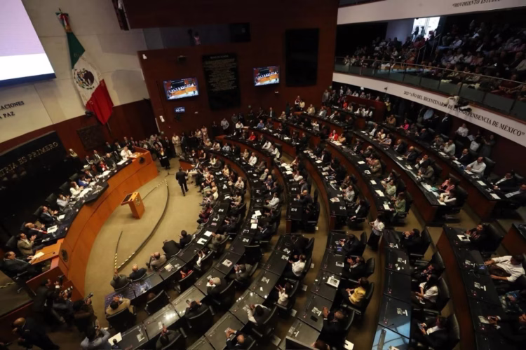 Aval unánime del Senado a reforma para una ley general sobre feminicidio