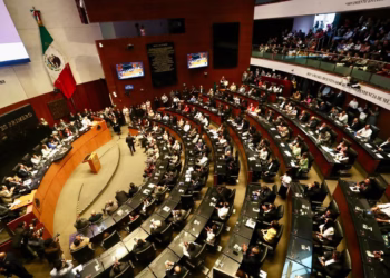 Esperan señal unos 30 senadores para competir por alguna gubernatura