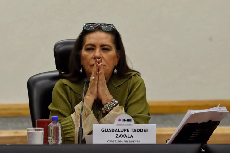 Seis directivos del círculo cercano de Taddei aspiran a ser consejeros del INE