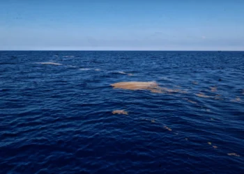 Marina suma una embarcación para recolectar sargazo en el Caribe mexicano