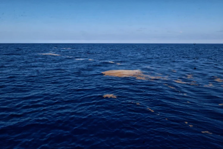 Marina suma una embarcación para recolectar sargazo en el Caribe mexicano