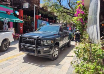 Catean ‘Animalandia’ de la Quinta Avenida de Playa del Carmen y detienen a su propietario