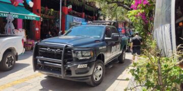 Catean ‘Animalandia’ de la Quinta Avenida de Playa del Carmen y detienen a su propietario