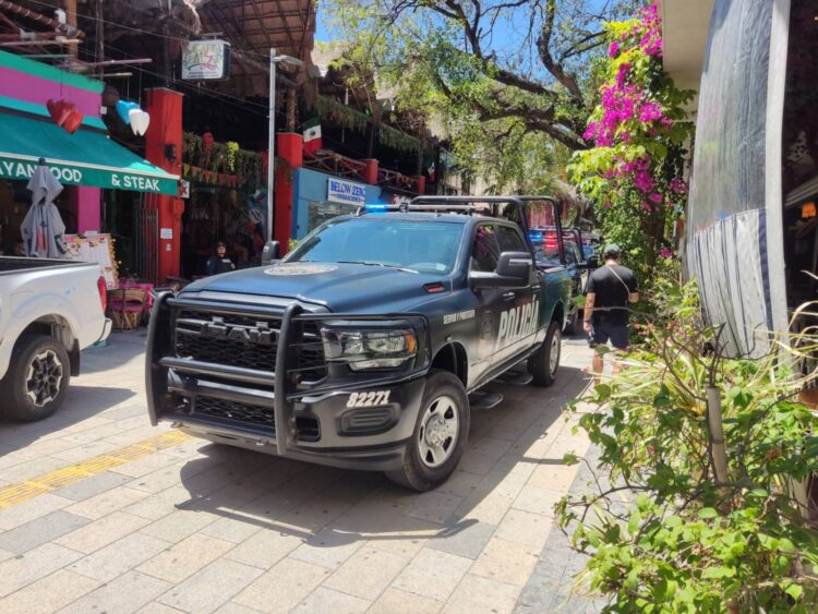 Catean ‘Animalandia’ de la Quinta Avenida de Playa del Carmen y detienen a su propietario
