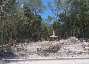 Abren selva para instalar antena policiaca en Aldea Zama