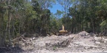 Abren selva para instalar antena policiaca en Aldea Zama