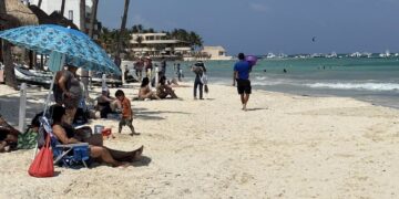 Certificaciones Blue Flag y Platino siguen vigentes en Playa del Carmen