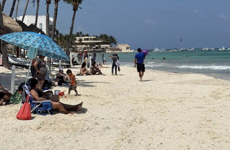 Certificaciones Blue Flag y Platino siguen vigentes en Playa del Carmen