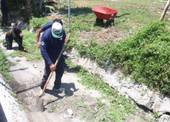 Gobierno de Isla Mujeres refuerza trabajos preventivos ante temporada de lluvias