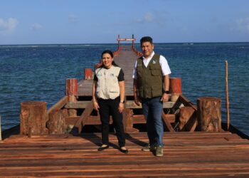 Supervisa Blanca Merari avance de la reconstrucción del muelle de pescadores en Puerto Morelos