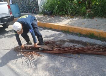 Gobierno de Isla Mujeres refuerza trabajos preventivos de Protección Civil