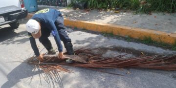 Gobierno de Isla Mujeres refuerza trabajos preventivos de Protección Civil