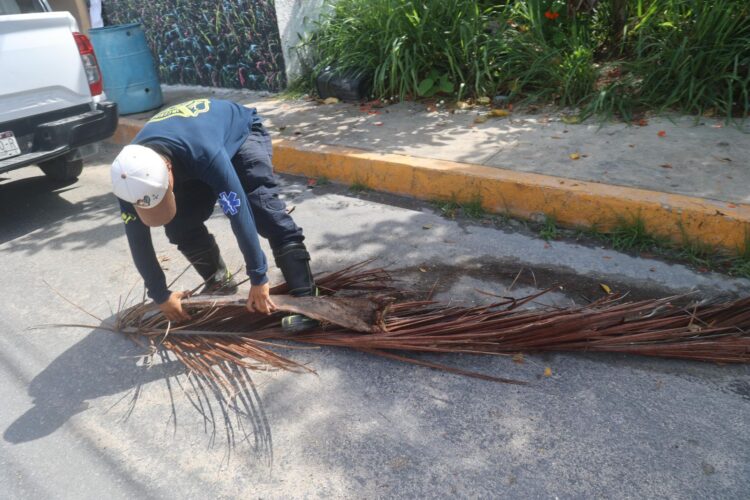 Gobierno de Isla Mujeres refuerza trabajos preventivos de Protección Civil
